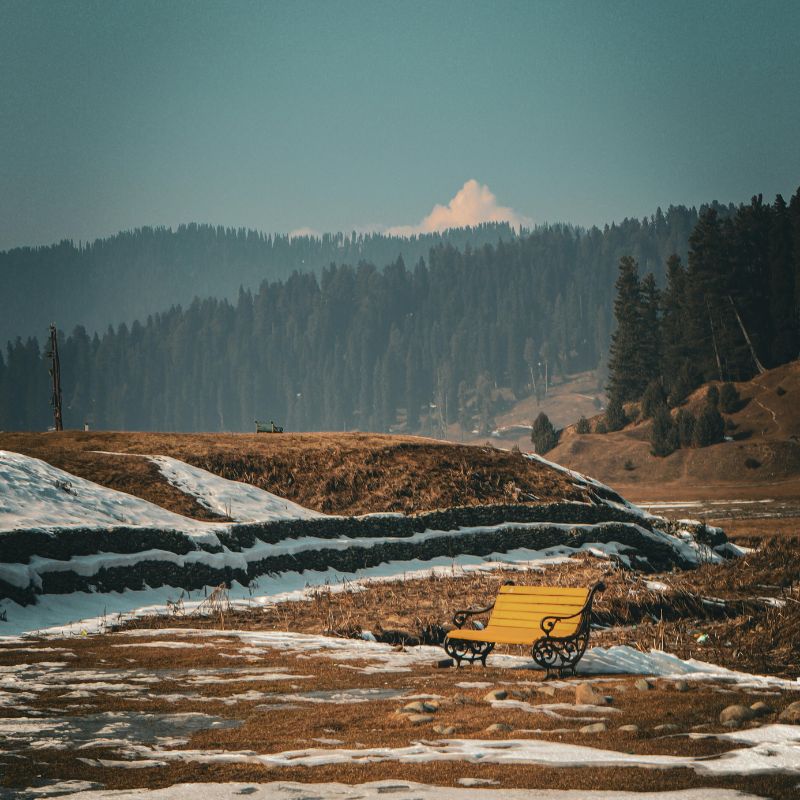 images/insta/Kashmir Tour Package 6 Nights 7 Days 4.jpg